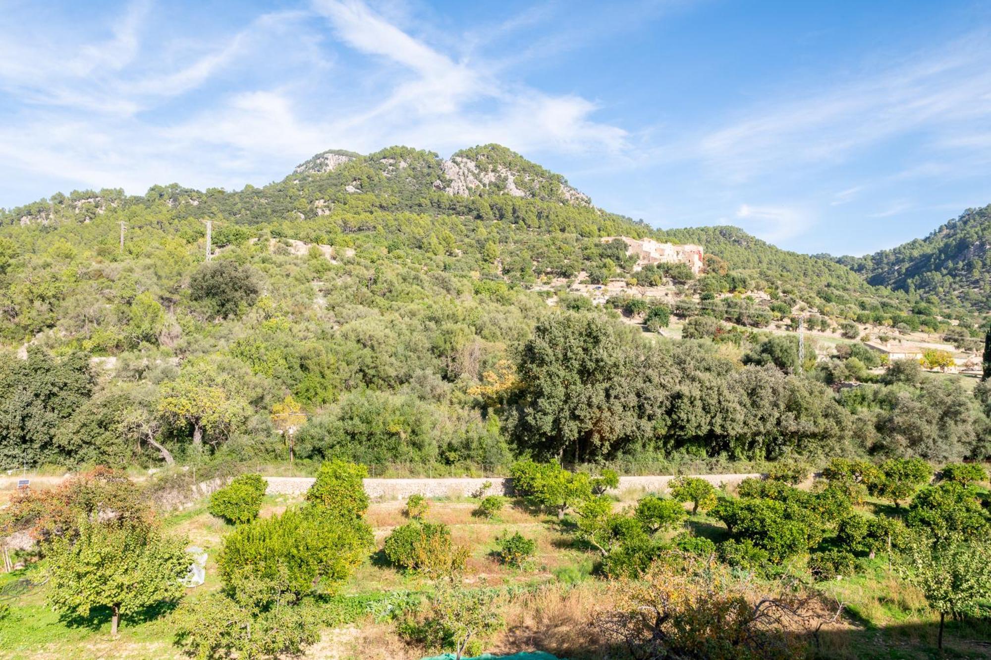 Agroturismo Filicumis By Mhr Lloseta Buitenkant foto