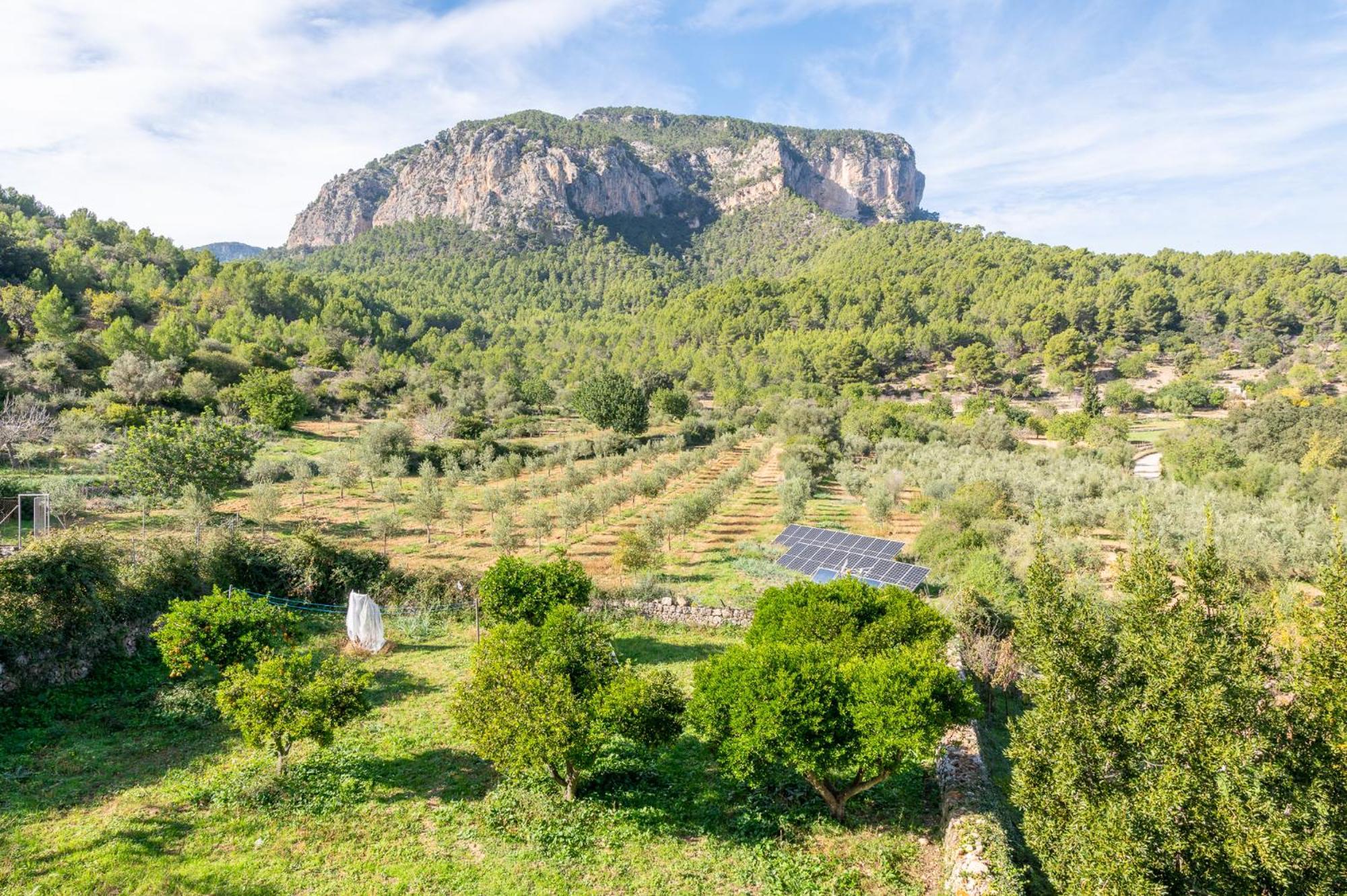 Agroturismo Filicumis By Mhr Lloseta Buitenkant foto