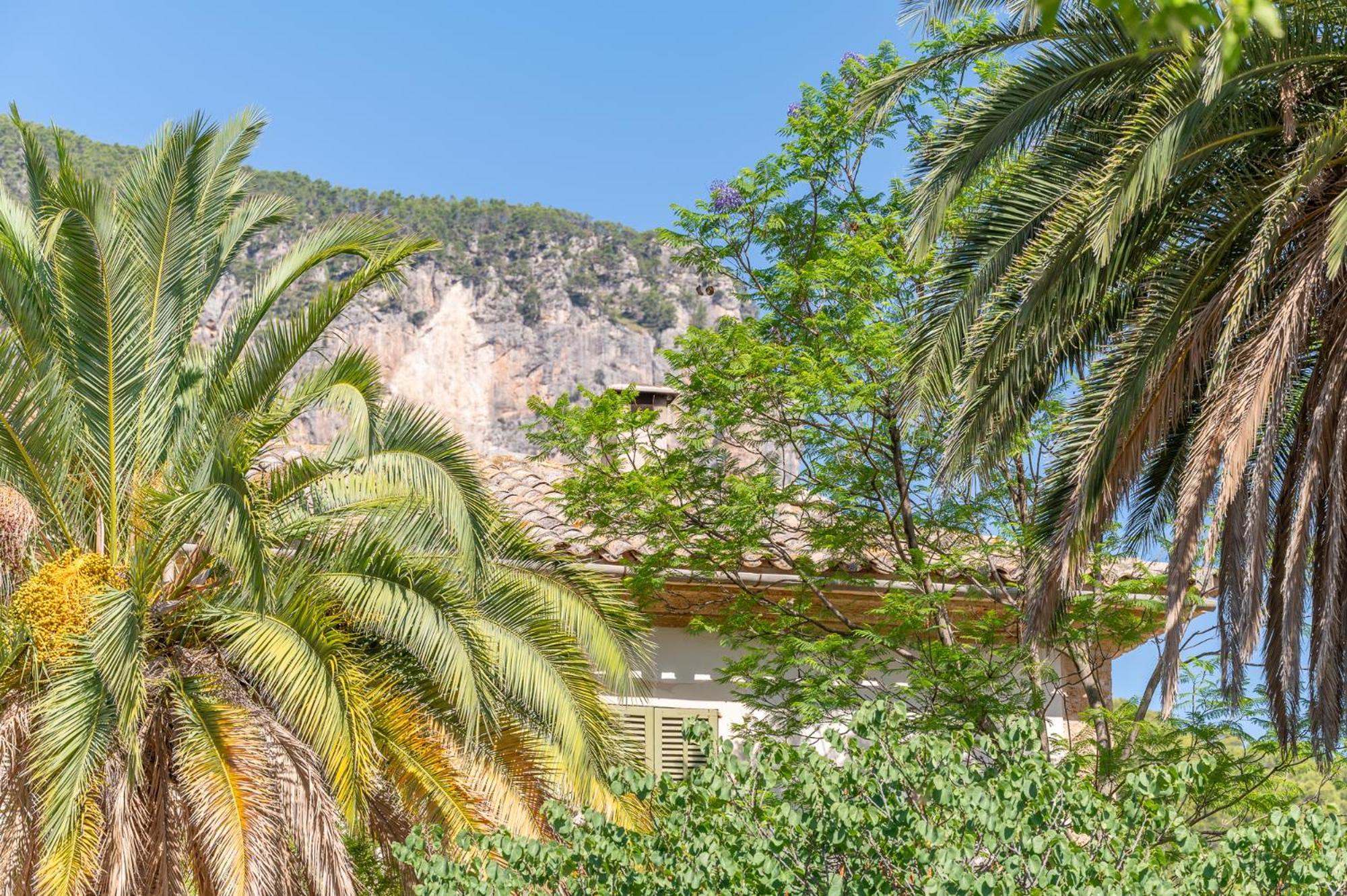 Agroturismo Filicumis By Mhr Lloseta Buitenkant foto