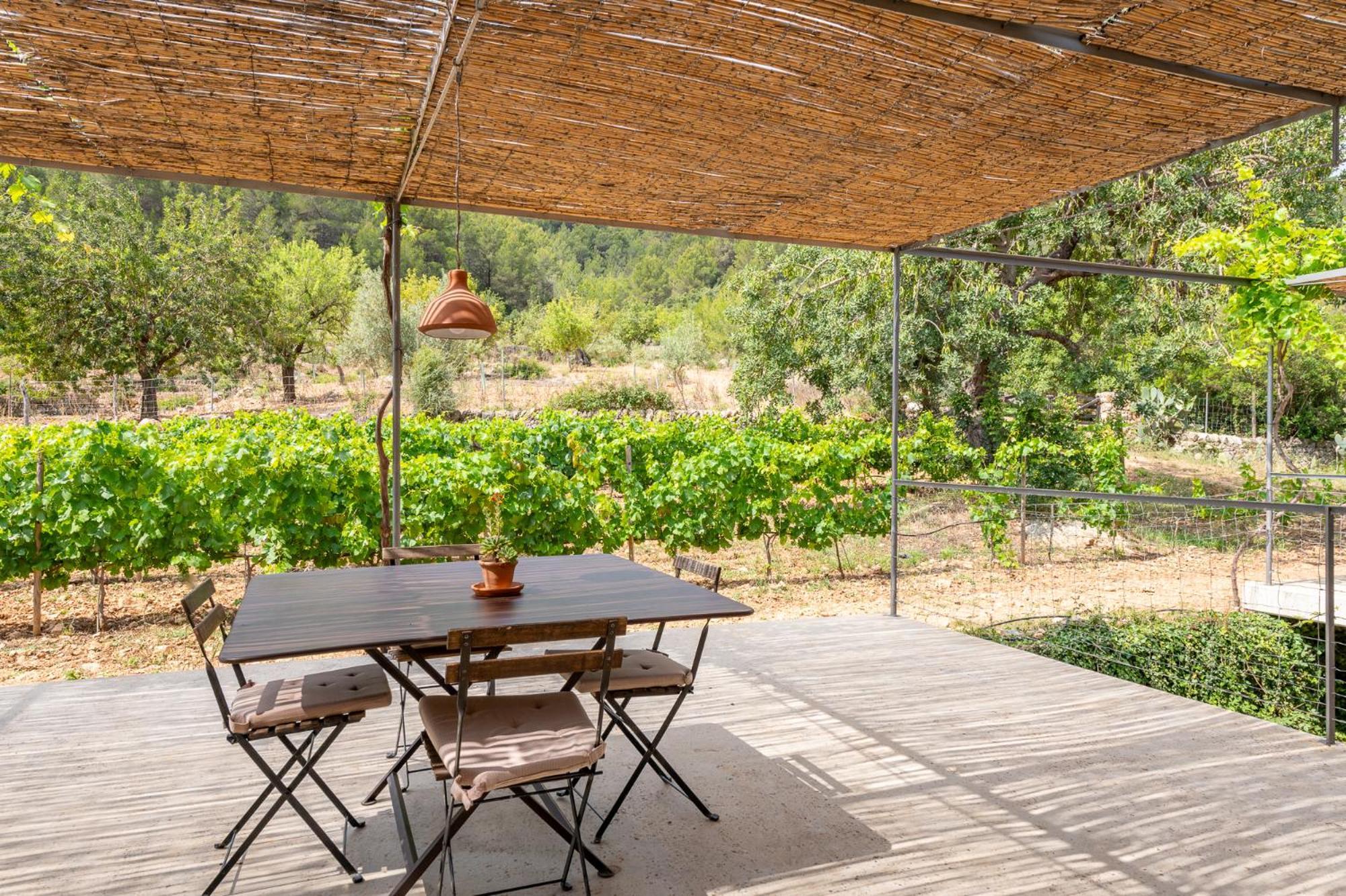 Agroturismo Filicumis By Mhr Lloseta Kamer foto